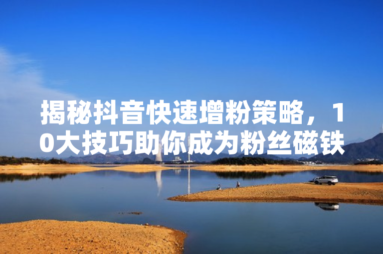 揭秘抖音快速增粉策略，10大技巧助你成为粉丝磁铁，概述了文章的主题，即提供一系列有效的方法来帮助抖音用户迅速增加其粉丝数量。通过这些策略，用户可以提升自己在抖音上的受欢迎程度和影响力。
