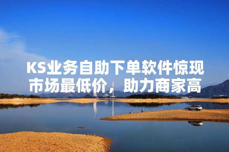 KS业务自助下单软件惊现市场最低价，助力商家高效接单！，突出了KS业务自助下单软件达到了市场最低价，强调了其对商家提高接单效率的帮助。