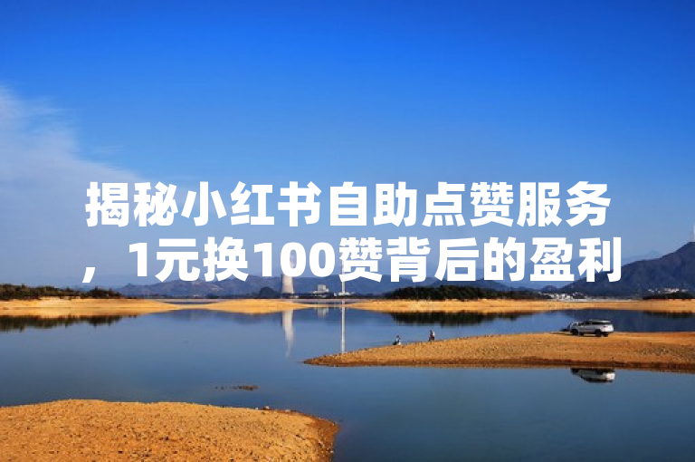 揭秘小红书自助点赞服务，1元换100赞背后的盈利模式