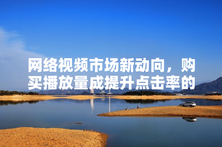 网络视频市场新动向,购买播放量成提升点击率的捷径