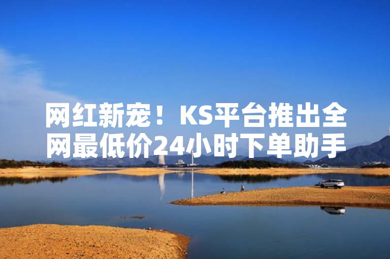 网红新宠！KS平台推出全网最低价24小时下单助手