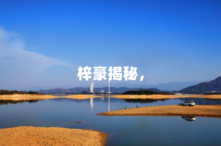 梓豪揭秘，50个提高名片刷量的有效技巧，新人必看！
