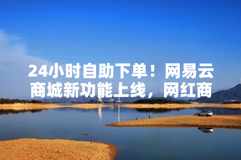 24小时自助下单！网易云商城新功能上线，网红商品随时购，突出了网易云商城新推出的24小时自助下单功能，强调了其便捷性和即时性，同时与网红商品的结合也增加了吸引力。