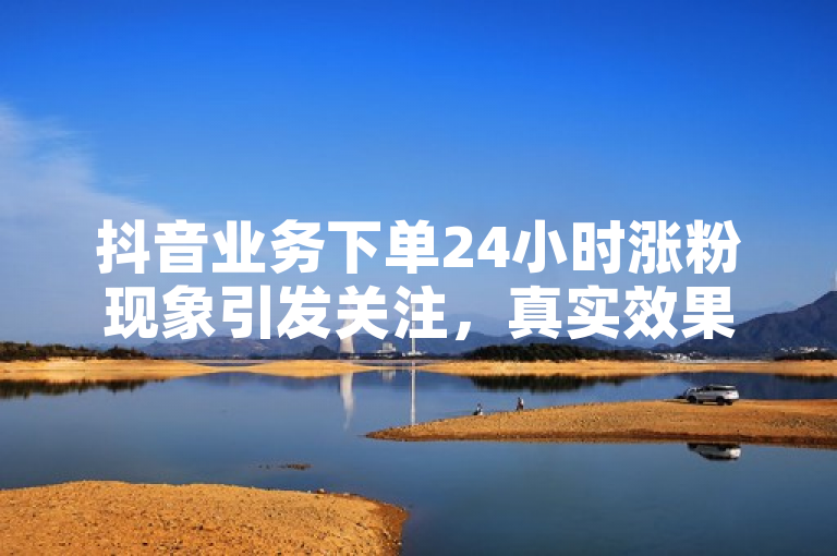 抖音业务下单24小时涨粉现象引发关注，真实效果与可靠性成疑