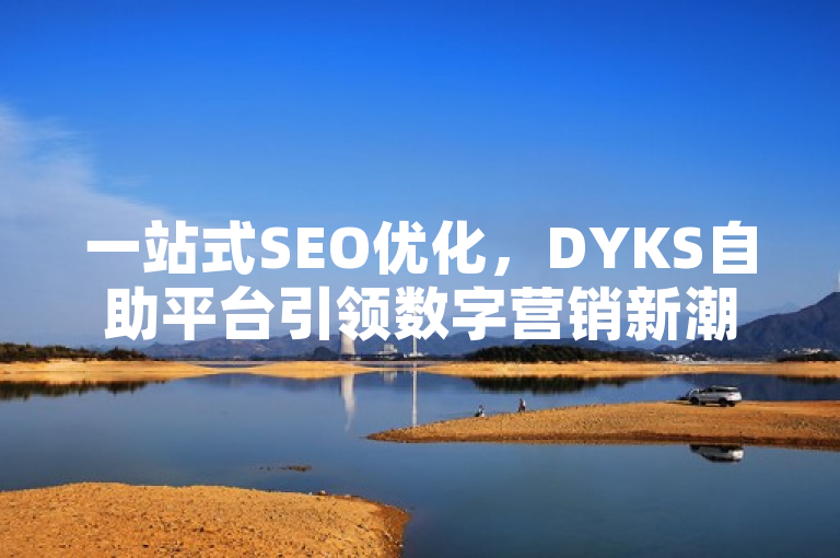 一站式SEO优化，DYKS自助平台引领数字营销新潮流