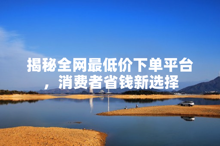 揭秘全网最低价下单平台，消费者省钱新选择