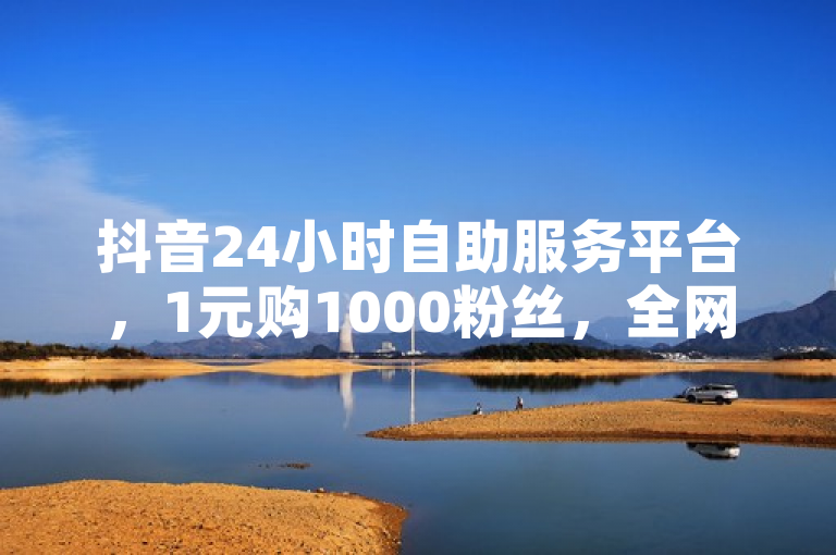 抖音24小时自助服务平台，1元购1000粉丝，全网最低价推广引流新策略