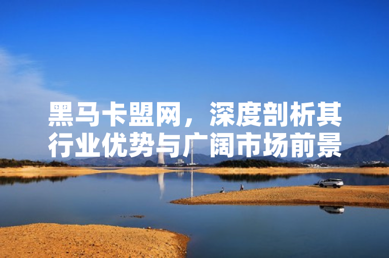 黑马卡盟网，深度剖析其行业优势与广阔市场前景，旨在吸引读者关注黑马卡盟网在竞争激烈的市场中如何脱颖而出，以及它未来的发展潜力。通过深度剖析和广阔市场前景，标题传达了文章内容将提供详尽分析和对未来趋势的展望，适合对游戏辅助及相关市场感兴趣的读者群体。
