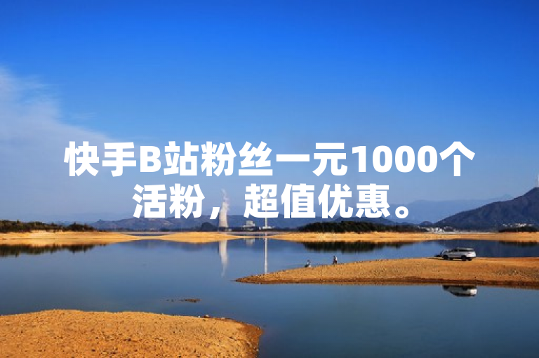 快手B站粉丝一元1000个活粉，超值优惠。