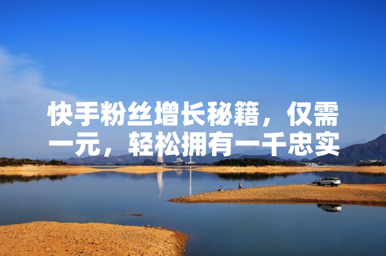 快手粉丝增长秘籍，仅需一元，轻松拥有一千忠实粉丝！