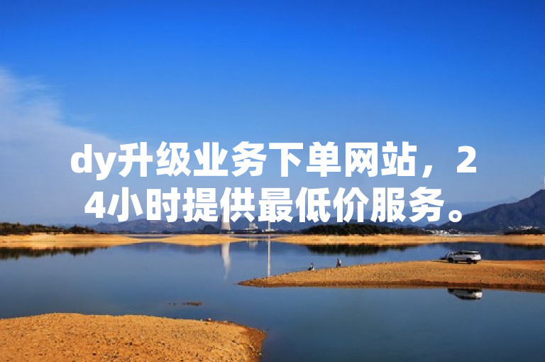 dy升级业务下单网站，24小时提供最低价服务。