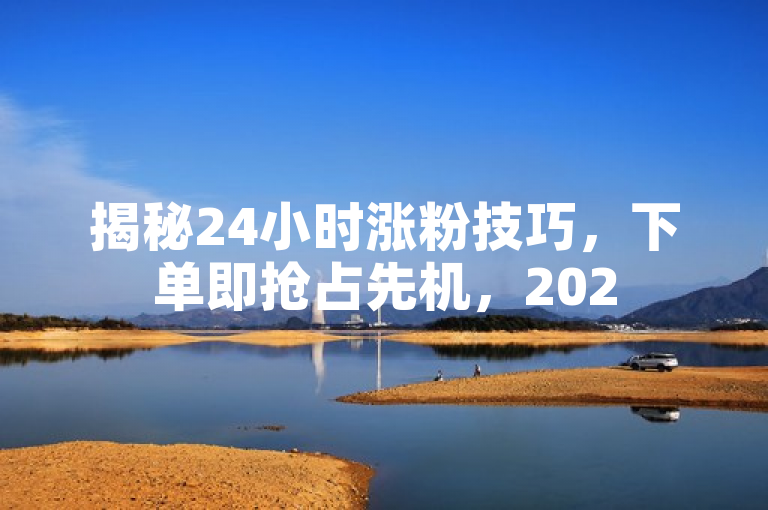 揭秘24小时涨粉技巧，下单即抢占先机，2025年必学！