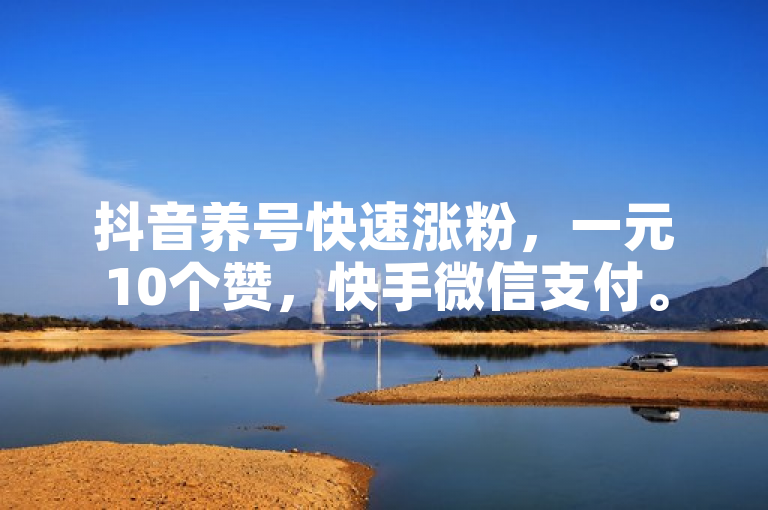 抖音养号快速涨粉，一元10个赞，快手微信支付。