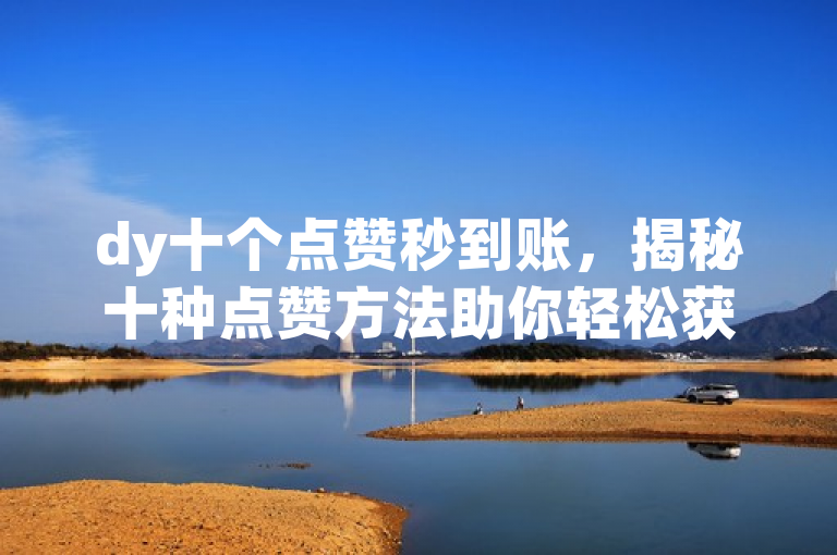 dy十个点赞秒到账，揭秘十种点赞方法助你轻松获赞。