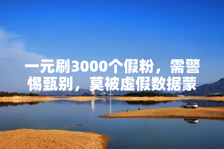 一元刷3000个假粉，需警惕甄别，莫被虚假数据蒙蔽。