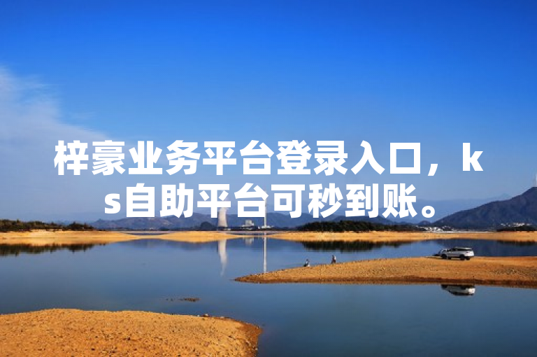 梓豪业务平台登录入口，ks自助平台可秒到账。