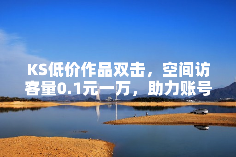 KS低价作品双击，空间访客量0.1元一万，助力账号热度攀升。