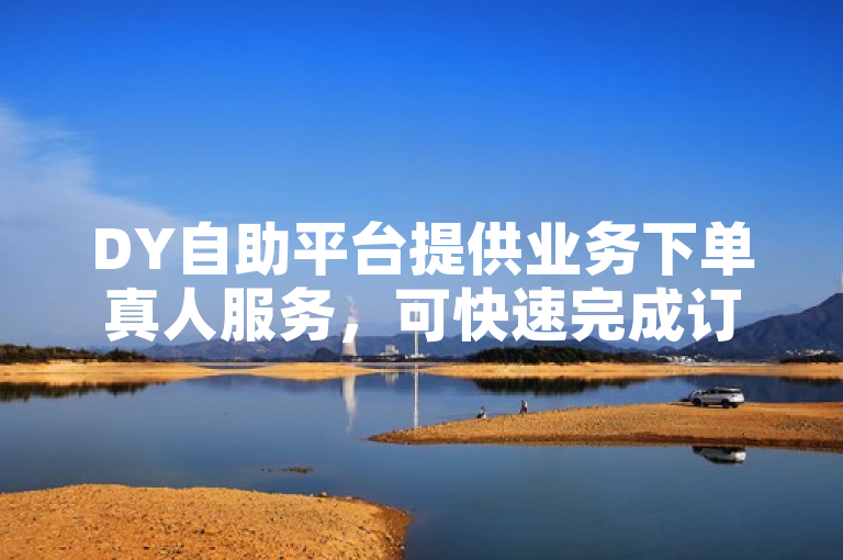 DY自助平台提供业务下单真人服务，可快速完成订单等操作。
