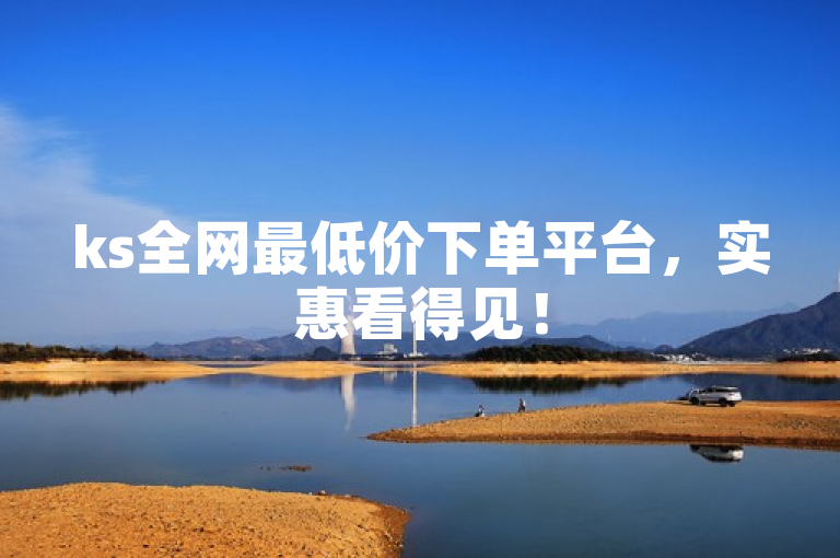 ks全网最低价下单平台，实惠看得见！