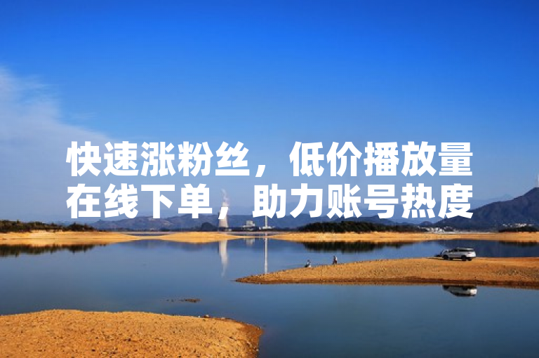 快速涨粉丝，低价播放量在线下单，助力账号热度飙升。