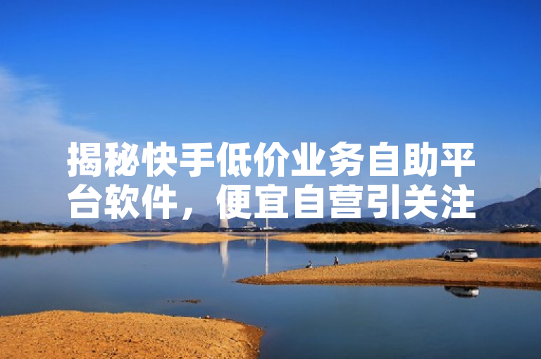 揭秘快手低价业务自助平台软件，便宜自营引关注