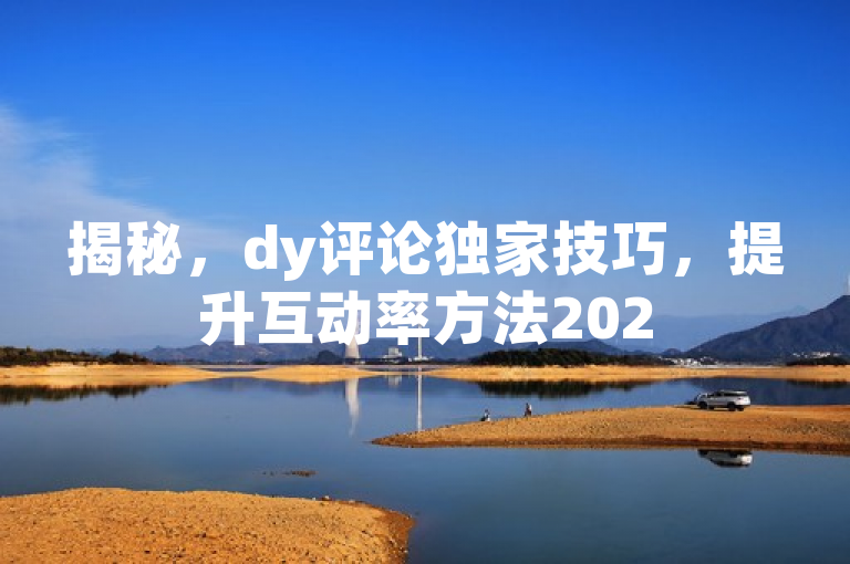 揭秘，dy评论独家技巧，提升互动率方法2025必学！