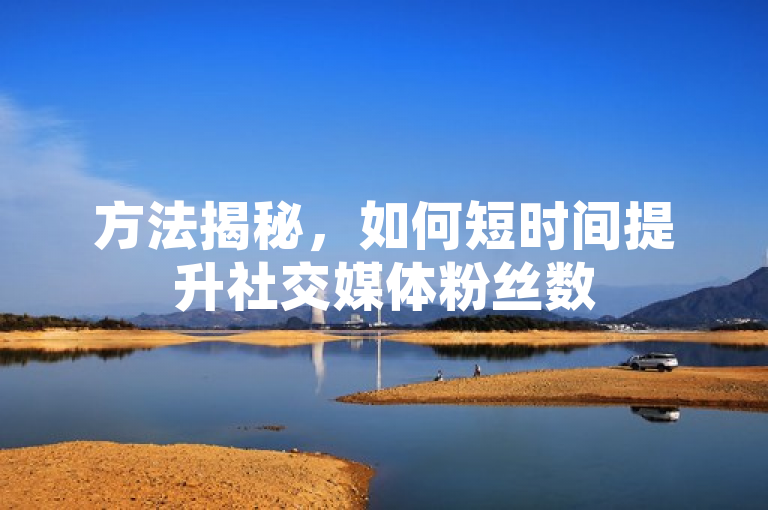 方法揭秘，如何短时间提升社交媒体粉丝数