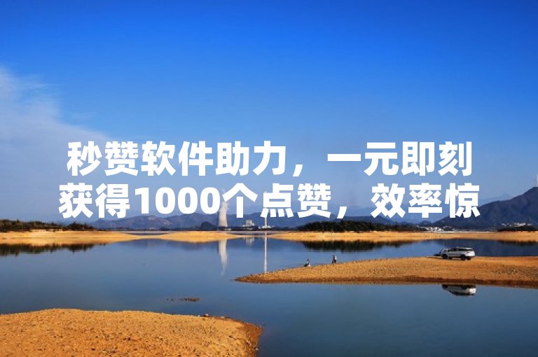 秒赞软件助力，一元即刻获得1000个点赞，效率惊人！