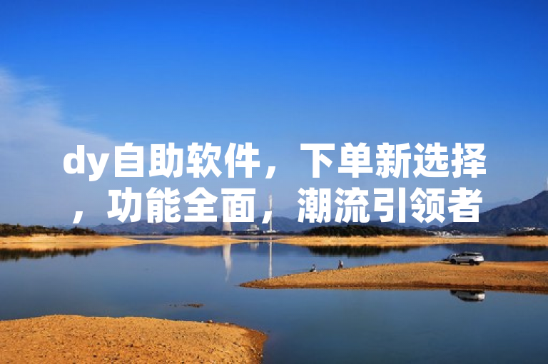 dy自助软件，下单新选择，功能全面，潮流引领者。
