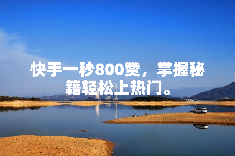 快手一秒800赞，掌握秘籍轻松上热门。