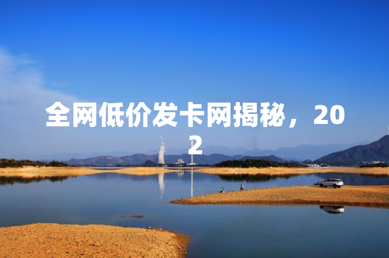 全网低价发卡网揭秘，2025必学，超低价格购卡指南！