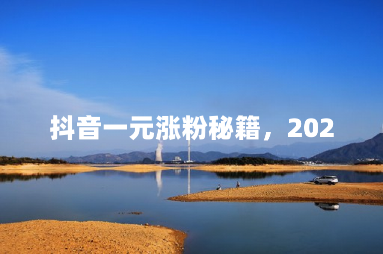抖音一元涨粉秘籍，2025年必学技巧，粉丝飙升不是梦！