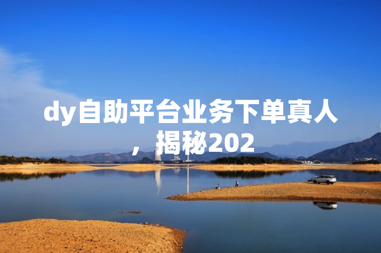 dy自助平台业务下单真人，揭秘2025必学解决方案！