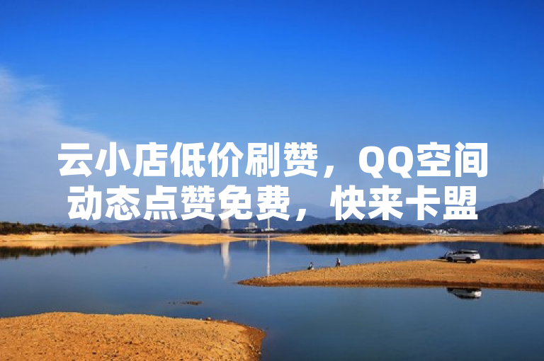 云小店低价刷赞，QQ空间动态点赞免费，快来卡盟平台在线下单吧！