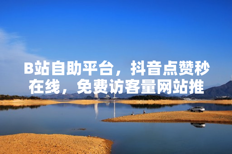 B站自助平台，抖音点赞秒在线，免费访客量网站推广优势显著。
