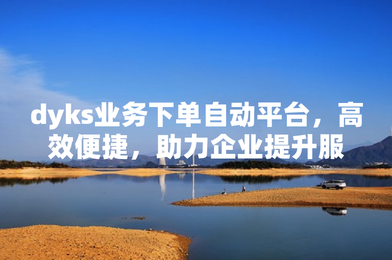 dyks业务下单自动平台，高效便捷，助力企业提升服务效率。