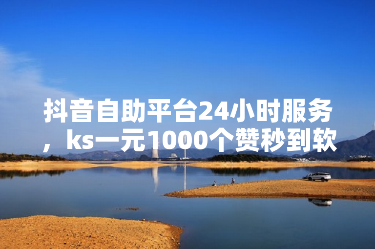 抖音自助平台24小时服务，ks一元1000个赞秒到软件。