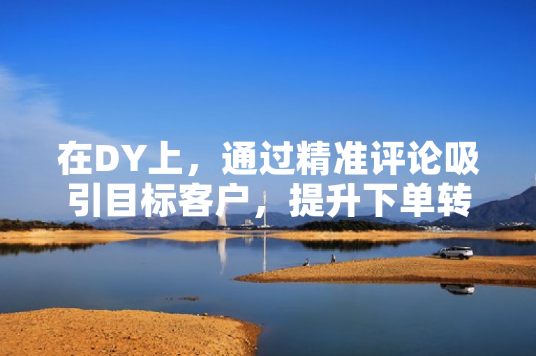 在DY上，通过精准评论吸引目标客户，提升下单转化率。