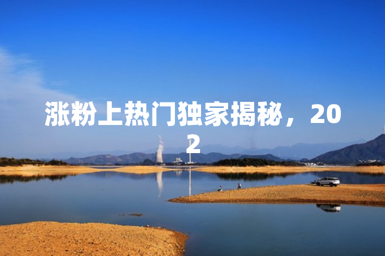 涨粉上热门独家揭秘，2025必学增粉提热度有效方法！