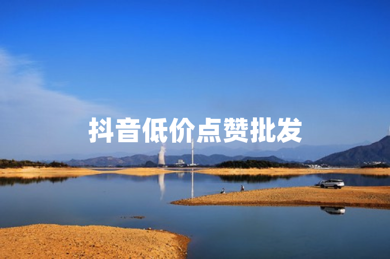 抖音低价点赞批发