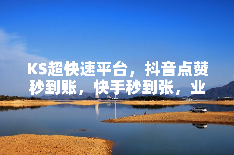 KS超快速平台，抖音点赞秒到账，快手秒到张，业务下单微利也疯狂！