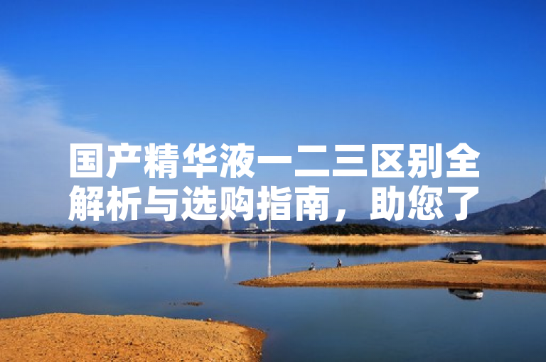 国产精华液一二三区别全解析与选购指南，助您了解产品特性。