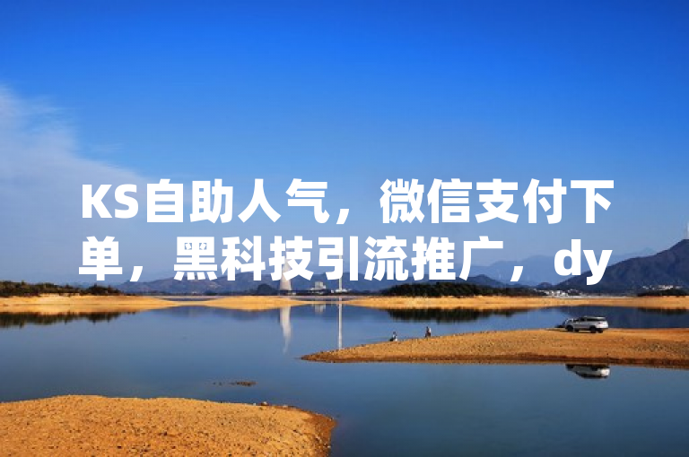 KS自助人气，微信支付下单，黑科技引流推广，dy低价平台闪电微利！