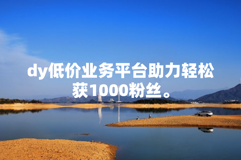 dy低价业务平台助力轻松获1000粉丝。