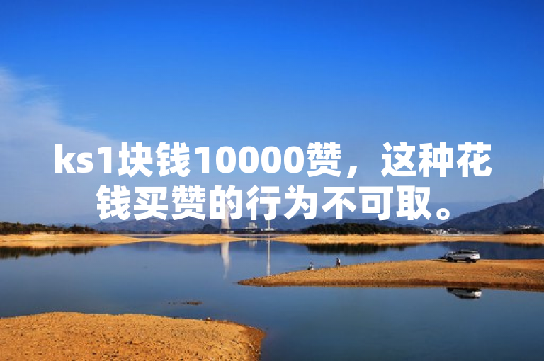ks1块钱10000赞，这种花钱买赞的行为不可取。