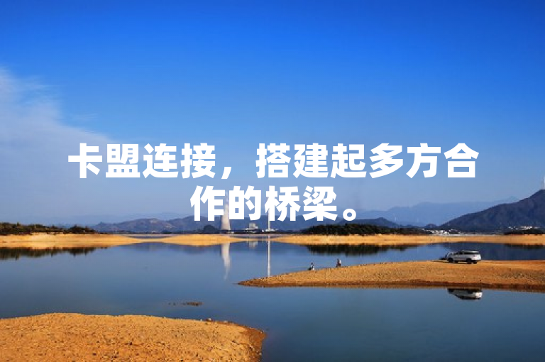 卡盟连接，搭建起多方合作的桥梁。