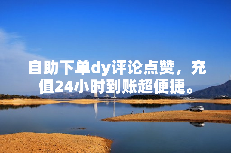 自助下单dy评论点赞，充值24小时到账超便捷。