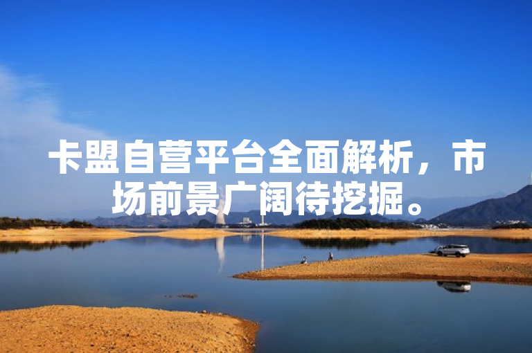 卡盟自营平台全面解析，市场前景广阔待挖掘。