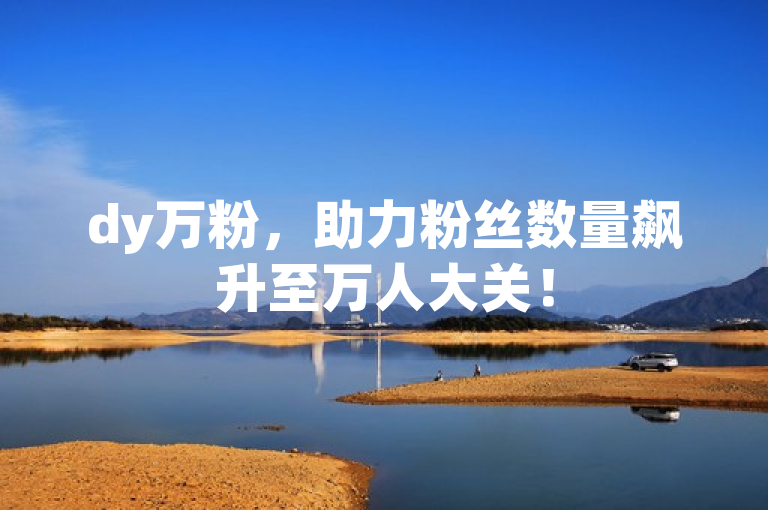 dy万粉，助力粉丝数量飙升至万人大关！