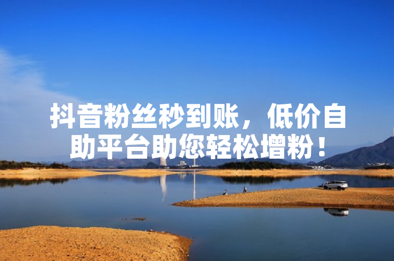 抖音粉丝秒到账，低价自助平台助您轻松增粉！